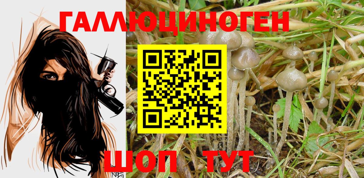 Петрозаводск  Псилоцибиновые грибы прущие грибы  Вход с VPN 